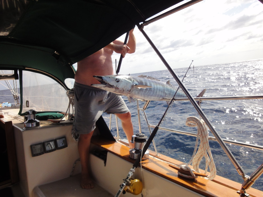 Hand line fishing sailboat, Spara 50% tillgängliga storsint läggning 