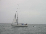 leisure sail