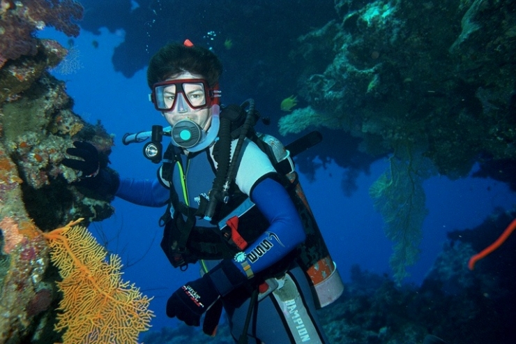 Diving The Coral Sea