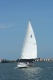 Florida sail's Avatar
