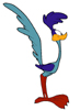 RoadRunner's Profile Picture