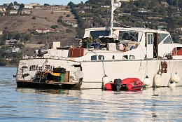 Click image for larger version

Name:	Richardson Bay 123115 13.jpg
Views:	186
Size:	437.8 KB
ID:	116513