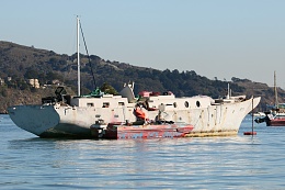 Click image for larger version

Name:	Richardson Bay 123115 16.jpg
Views:	155
Size:	403.6 KB
ID:	116516