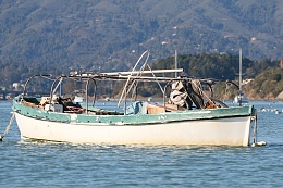 Click image for larger version

Name:	Richardson Bay 123115 21.jpg
Views:	157
Size:	416.6 KB
ID:	116521