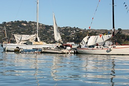 Click image for larger version

Name:	Richardson Bay 123115 25.jpg
Views:	110
Size:	426.4 KB
ID:	116525