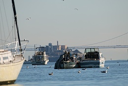 Click image for larger version

Name:	Richardson Bay 123115 26.jpg
Views:	161
Size:	295.3 KB
ID:	116526