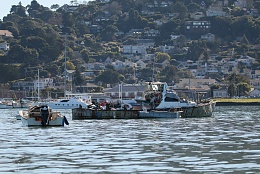 Click image for larger version

Name:	Richardson Bay 123115 28.jpg
Views:	121
Size:	441.6 KB
ID:	116528