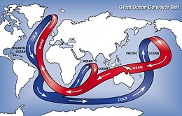 Click image for larger version

Name:	OceanThermalConveyorBelt.jpg
Views:	246
Size:	41.9 KB
ID:	12583