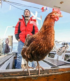 Click image for larger version

Name:	sailing-chicken-guy-monique-guirec-soudeel-8.jpg
Views:	251
Size:	89.2 KB
ID:	158643