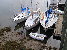Click image for larger version

Name:	Low tide-White Head.jpg
Views:	112
Size:	114.0 KB
ID:	193706