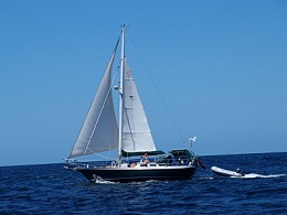 Click image for larger version

Name:	Delphinus under sail 12.jpg
Views:	787
Size:	27.1 KB
ID:	201792