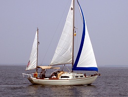 Click image for larger version

Name:	Daydreamer sail.jpg
Views:	538
Size:	415.5 KB
ID:	204149