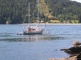 Click image for larger version

Name:	Idora at obstruction island.jpg
Views:	143
Size:	81.8 KB
ID:	20994