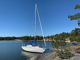 albin 30 sailboat