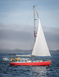 Click image for larger version

Name:	scarlet point sail 5.jpg
Views:	591
Size:	192.9 KB
ID:	235623