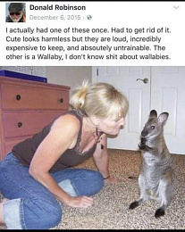 Click image for larger version

Name:	wallaby.jpg
Views:	601
Size:	413.8 KB
ID:	240937