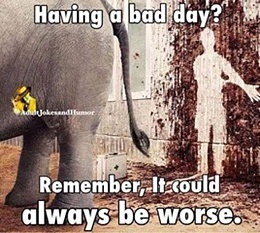 Click image for larger version

Name:	Bad Day.jpg
Views:	296
Size:	67.4 KB
ID:	241307
