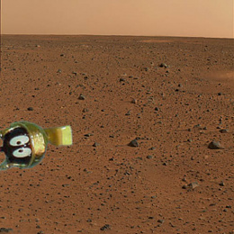 Click image for larger version

Name:	1st pictures mars landing.jpg
Views:	192
Size:	58.5 KB
ID:	257909