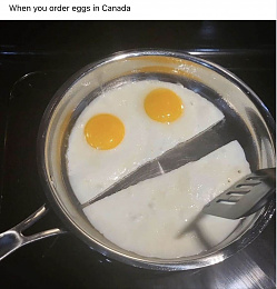 Click image for larger version

Name:	canadian eggs..jpg
Views:	252
Size:	87.0 KB
ID:	265454