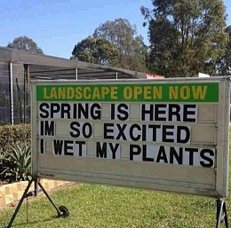 Click image for larger version

Name:	wet my plants.jpg
Views:	20
Size:	114.5 KB
ID:	287464