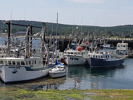Click image for larger version

Name:	Puffin berth 2018.jpg
Views:	13
Size:	101.5 KB
ID:	291528