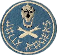 
Name:   200px-90th-bombgroup-WWII-patch.png
Views: 874
Size:  85.5 KB
