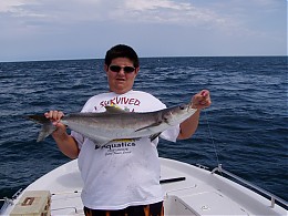 Click image for larger version

Name:	WW Justin Cobia 32in02.jpg
Views:	445
Size:	387.1 KB
ID:	4630