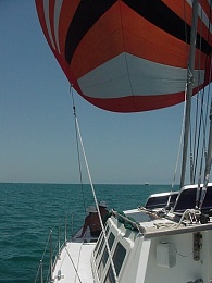 Click image for larger version

Name:	Miami spinnaker.JPG
Views:	701
Size:	148.9 KB
ID:	5831
