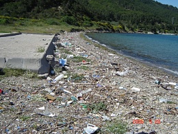 Click image for larger version

Name:	rubbish beach.jpg
Views:	347
Size:	131.4 KB
ID:	7614