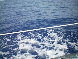 Click image for larger version

Name:	blue water of atlantic.jpg
Views:	433
Size:	416.7 KB
ID:	86117