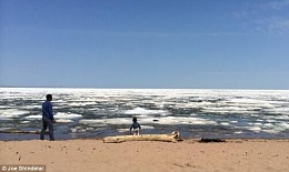 Click image for larger version

Name:	Lake Superior Ice in May photo A.jpg
Views:	413
Size:	29.7 KB
ID:	96029