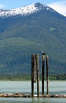 Bella Coola Wharf