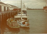 Queens Wharf, Auckland NZ, Jan 1987