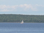 Some lucky sailor enjoying a beautiful day on the water in Belfast Bay, Maine. This picture taken facing east from Moose Point State Park, Searsport,...