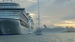 velero cruiseships