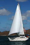 Cooper 416 Genoa