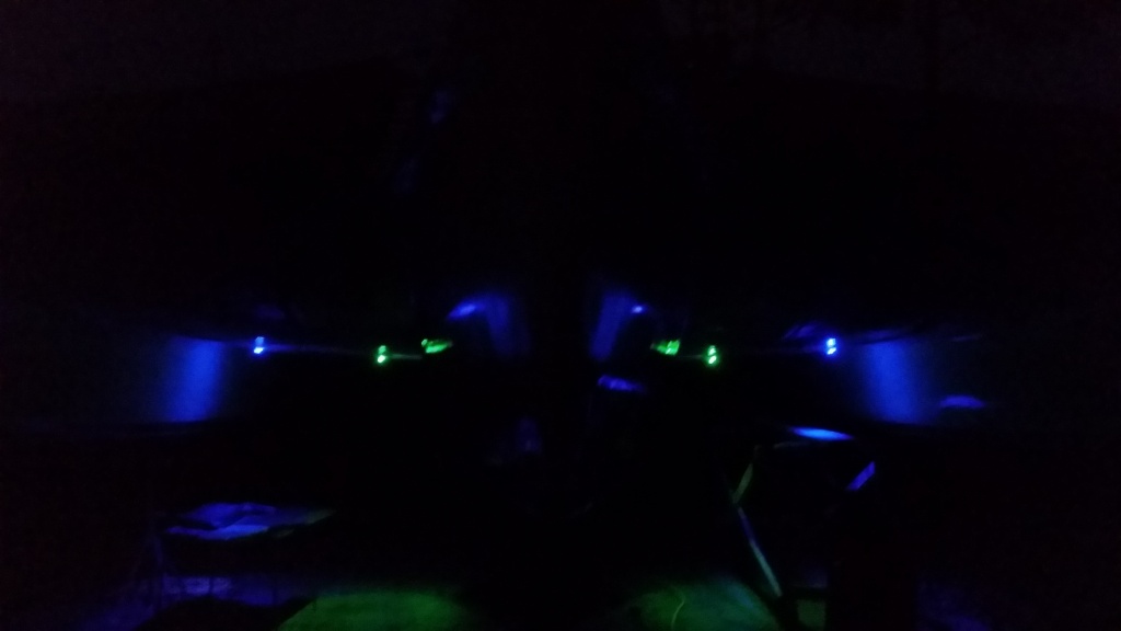 LED Lighting for underwings. A blue and green LED under each wing, can illuminate either, or both. Great effects