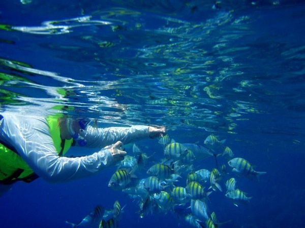 Me taking pictures of the fish.  Taken by Mike, another of the students aboard.