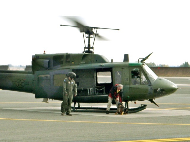 Putting Aleutia on a down-stay below the rotating blades of a running USAF helicopter during training for search & rescue