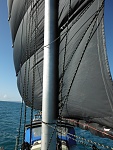 Arion sailing 025