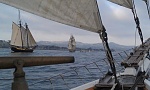 Schooner Spirit of Dana Point, and the Brig Pilgrim, from the deck of Amazing Grace. 
 
I crew all three, lucky me!