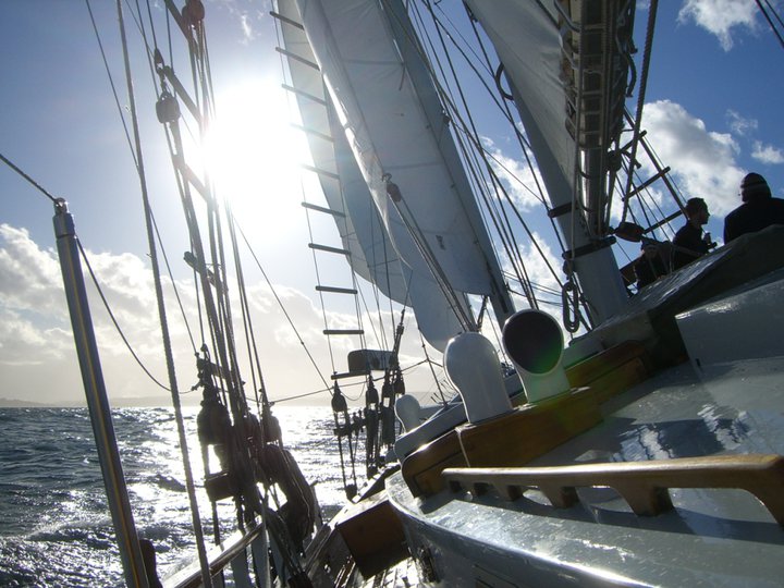 Topsail Schooner Amazing Grace.

Me, chatting with Wesley, our foredeck monkey.