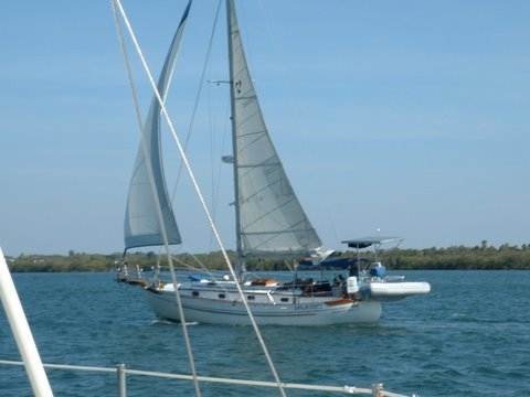 Day sailing terra ceia bay