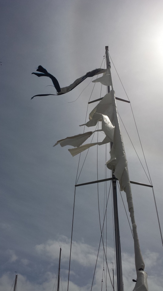 Oops--2014 N2E Yacht race was hard on sails.  Wind over 40kts starting at 2:20AM.  Our sails fared better than this boat, but still need repaired.