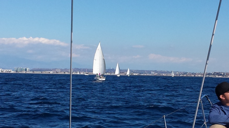 Marina del Rey/Redondo Beach race.
Wing on wing in a row.