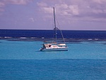 Coco at the Tobago Cays