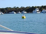 P1011051 
 
The dinghy