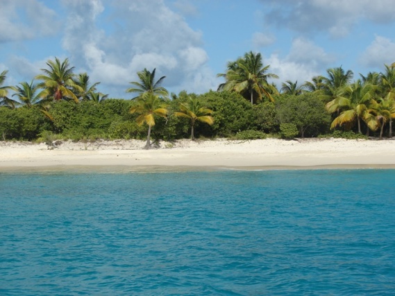 BVI Sailing Sandy Cay