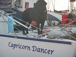 DSCN0991 Our loveable black lab "Shadow" In the marina at Airly Beach for a night