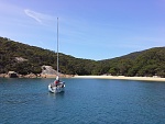 g) Refuge Cove, Base Strait